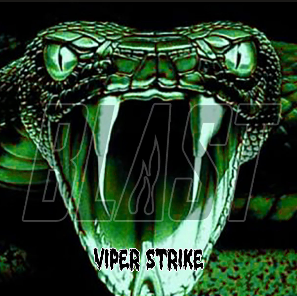 Viper Strike Cornhole bags 5/9 ACO Approved