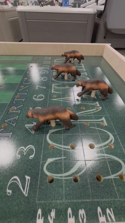 Custom Football Theme -  Jumbo Horse Game with Rails and Integrated Chip Pot